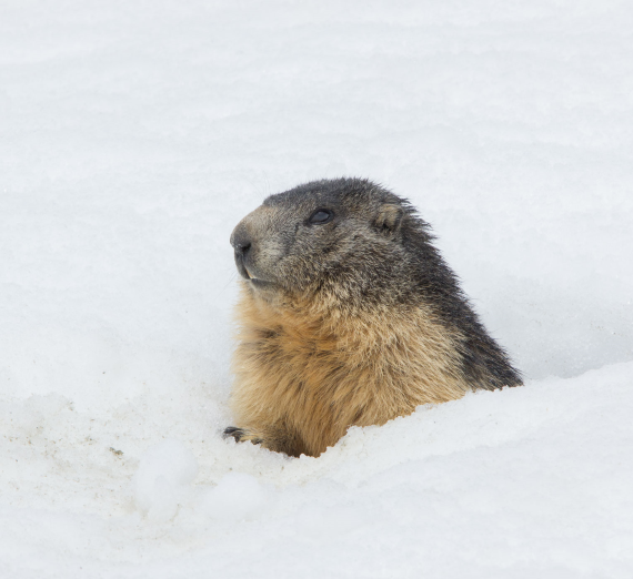 Jeff Rutherford looks at the camera as he stands on a beach